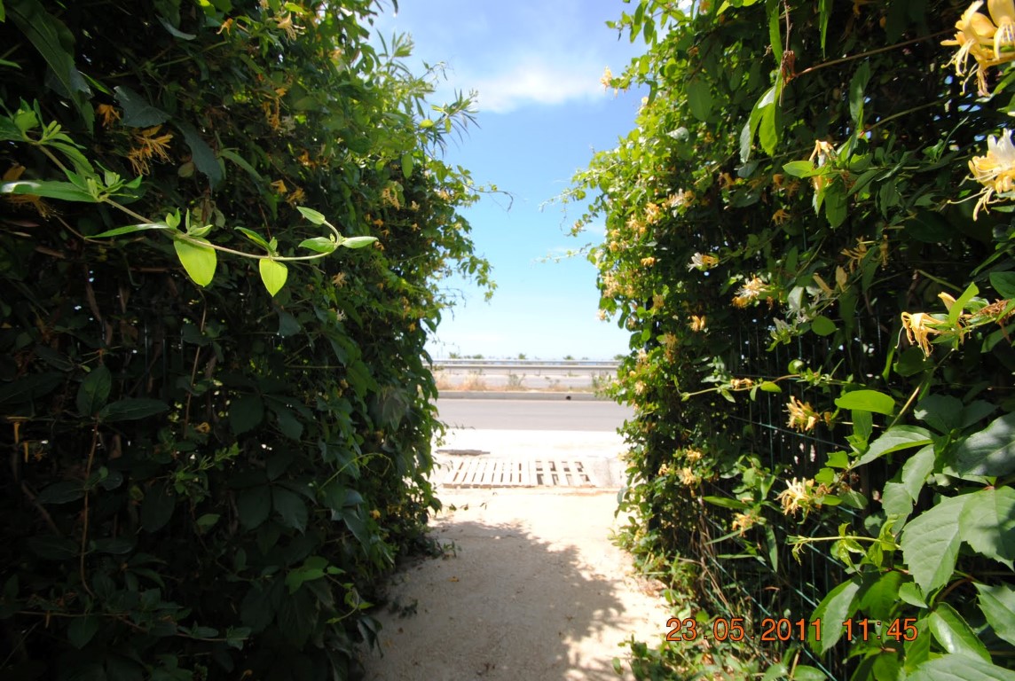 imagini hotel AMELIA BEACH RESORT SIDE